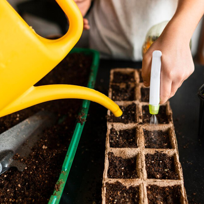 полив семян
