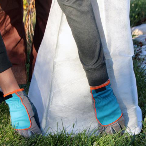 пионы укрытие