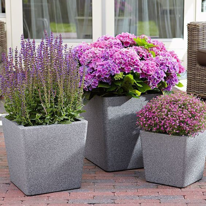 вертикальное озеленение 2 700х700.jpg