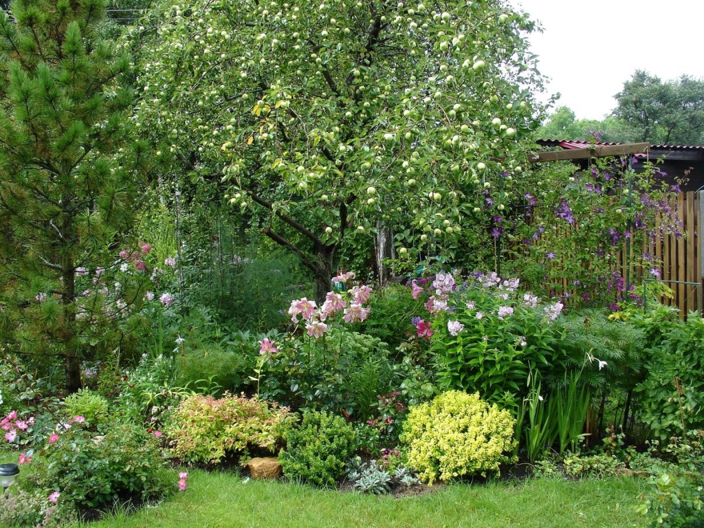 пдод. сад микс-70.jpg