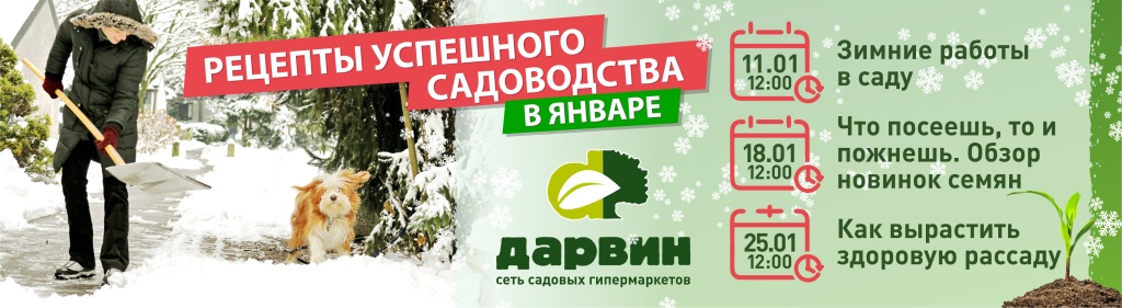 мастер-классы