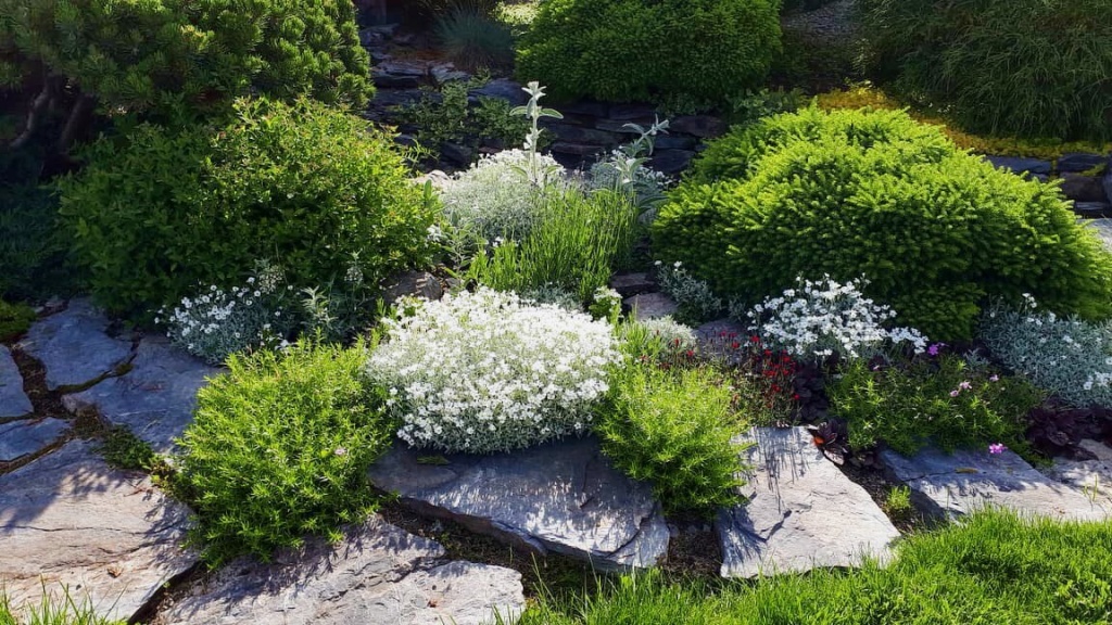 алп почвопокр.jpg