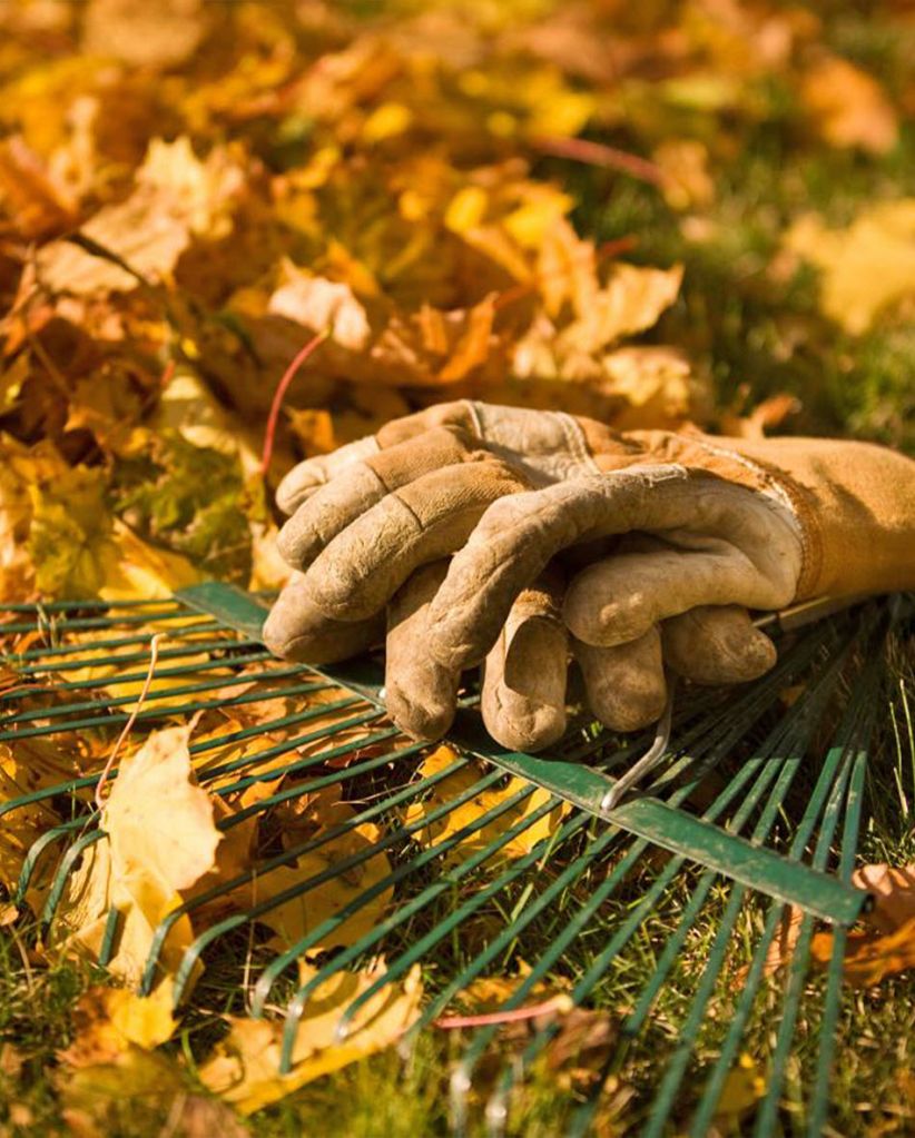 Октябрь в саду.jpg