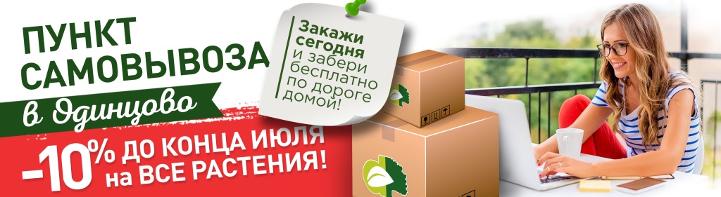 Пункт самовывоза одинцово_новость внутри.jpg