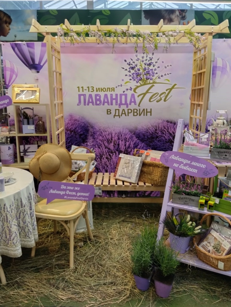 Лаванда фест в Дарвин фотозона Лаванда фест в Дарвин фотозона