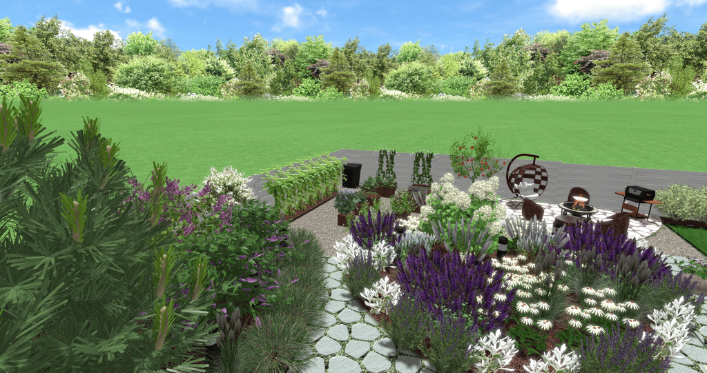 Дизайн схема ландшафта дачного участка.png