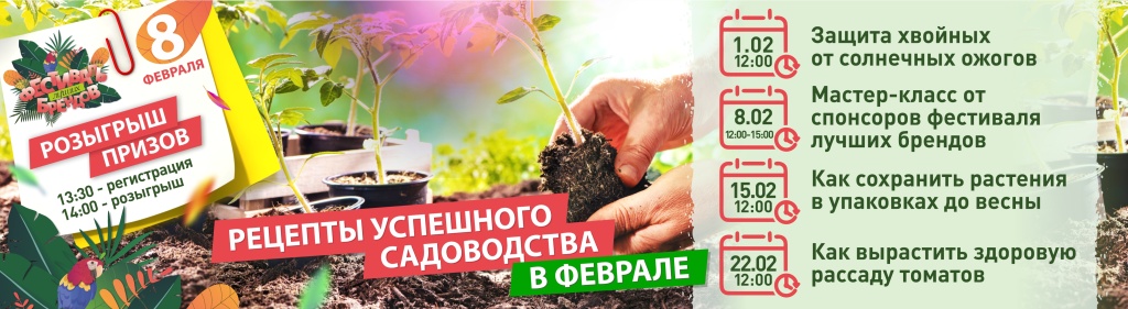 Мастер-класс февраль