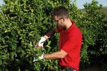 Силовой секатор KM1-M Форс ЮНКЕ по цене 