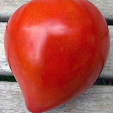 Семена томат Бычье Сердце Красное, Сиб. Сад 