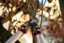 Сучкорез садовый KM-660 двуручный по цене 