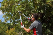 Сучкорез садовый KM-660 двуручный по цене 