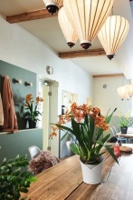 Кашпо с автополивом Лечуза Орхидея 1л белый, пластик арт.13960 по цене 