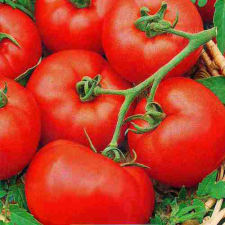 Семена томат Вовчик ц/п 0,05г Аэлита 