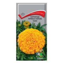 Семена Бархатцы (Тагетес) прямостоячие Гавайи,0,4г Поиск 