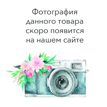 Секвойядендрон гигантский Пиери v5 h40-50 Mt 