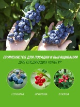 Грунт для Голубики Брусники Клюквы Робин Грин прессованный 25 л по цене 