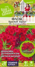 Семена Флокс Красный бархат друммонда 0,05 гр.  Семена  Алтая 