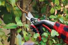 Секатор садовый KM-5 ФОРДЖИД по цене 