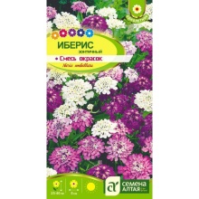 Семена  Иберис Смесь Окрасок зонтичный   0,1 гр. Семена Алтая 
