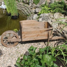 Тачка садовая дерево сосна, палисандр 126х47х42см по цене 