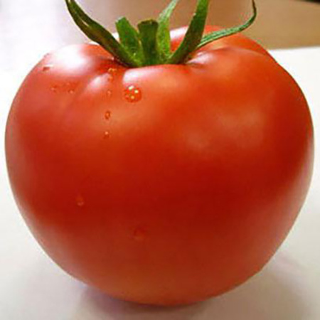 Семена томат Линда F1, Престиж 