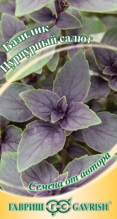 Семена базилик Пурпурный салют красный Авторские 0,1г Гавриш 