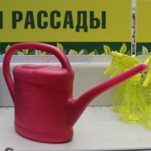 Лейка Полипласт садовая пластик 2л по цене 