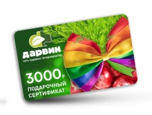 Подарочный сертификат 3000 р. по цене 