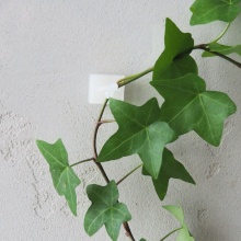 Набор фиксаторов для вьющихся растений. 20 шт. VL83-227 по цене 