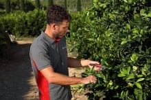 Секатор садовый KM-19 по цене 