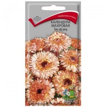 Семена календула махровая Тач оф Ред 0,3г Поиск 