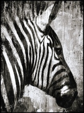 Картина Зебра 60х80см арт.8Л0585 по цене 
