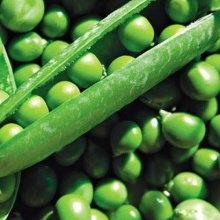 Семена горох Детский Сахарный 25г Аэлита 