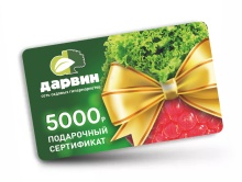 Подарочный сертификат 5000 р. по цене 