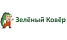 Зеленый ковер