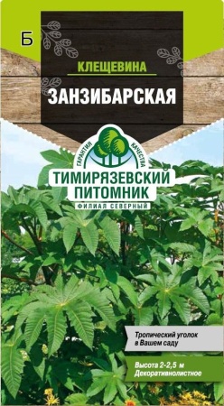 Семена Tim/цветы клещевина Занзибарская 5шт 