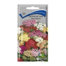 Семена тысячелистник смесь окрасок 0,1г Поиск 