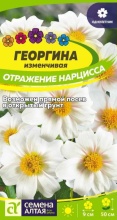 Семена Георгина Отражение Нарцисса 0,2 гр.Семена  Алтая 