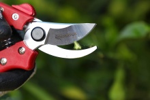 Секатор садовый KM-19 по цене 