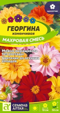 Семена Георгина Махровая смесь окрасок 0,2г Семена Алтая 