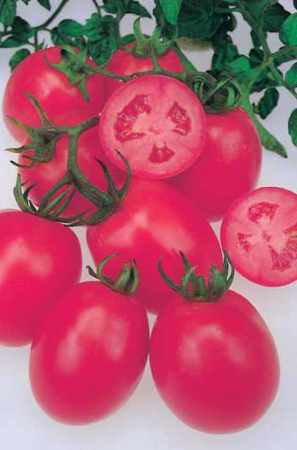 Семена томат Де-Барао поздний красный 0,1г Агроуспех 