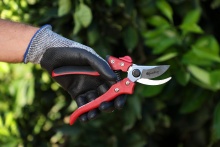 Секатор садовый KM-19 по цене 