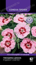 Семена Гвоздика Диана Рэдиант Скарлет 10 шт Поиск 