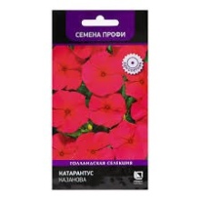 Семена Катарантус Казанова 10 шт  Поиск 