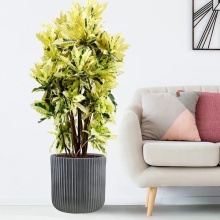 Кашпо Урбан круглое 17,9л 30,5х30см, антрацит, файберстоун арт.RVS-RND-30-BLW по цене 