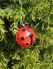 Фигура декоративная Божья коровка красная 6х14х14см, металл по цене 