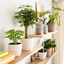 Кашпо Классико Колор Деко 14 1,1л белый, пластик арт.16681 по цене 