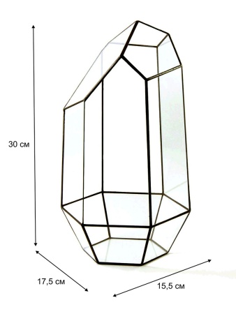 Флорариум из стекла 1048/1 грани черные
