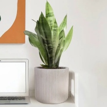 Кашпо Урбан круглое 10л 25,5х25см бежевый, файберстоун арт.RVS-RND-25-BB по цене 