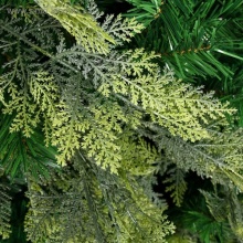 Ель искусственная Элит традиция 210см 1168 веток, литая+ПВХ арт.2338591 по цене 